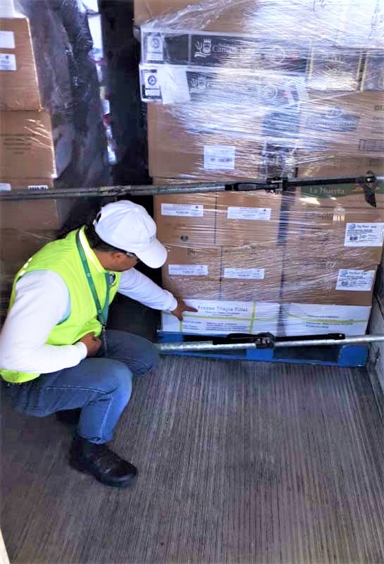 ssa_coepris pichilingue